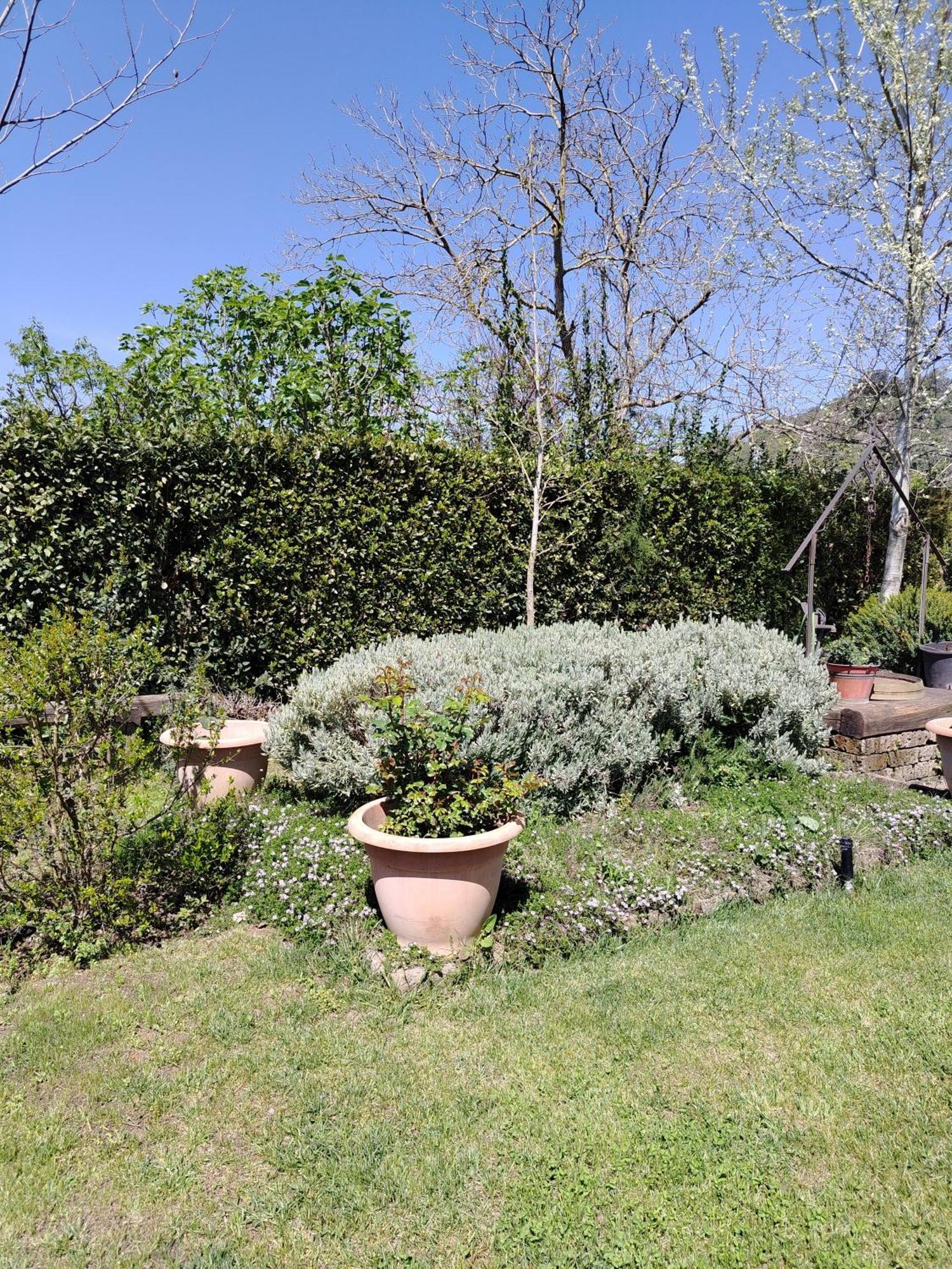 Guest House Romana Vecchia Monticchio  Exterior photo